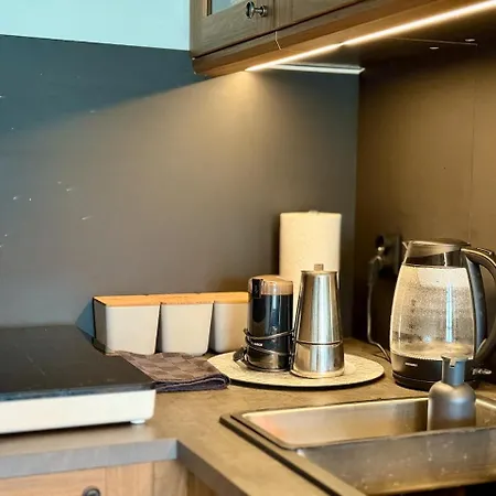 Zielona Przystan 公寓